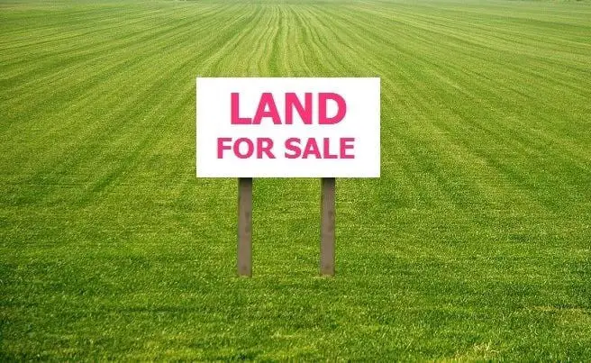 What To Look For In The Land You Are Purchasing?