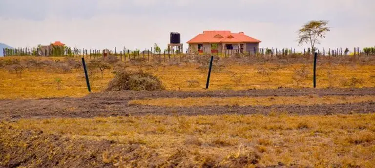 What to consider when buying land in Kenya