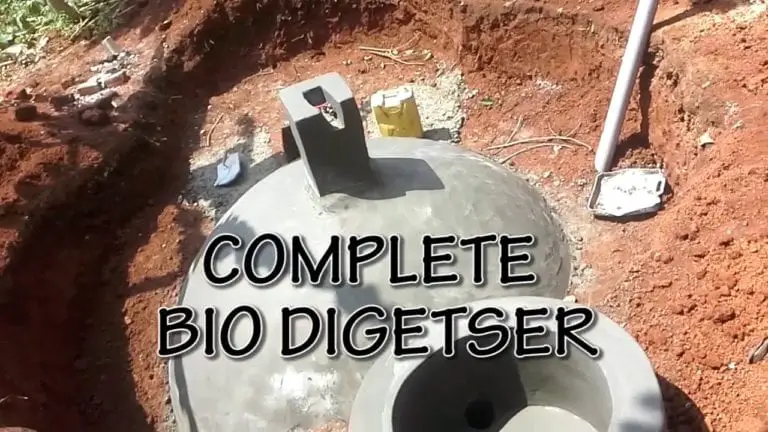 Advantages of Biodigester + How Biodigester Works [A Simple Guide]