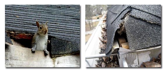 roofing problems and solutions