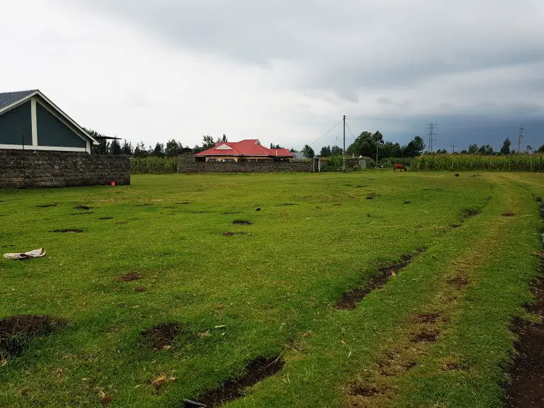 Don’t Get Scammed: A Comprehensive Guide for Buying Land in Kenya