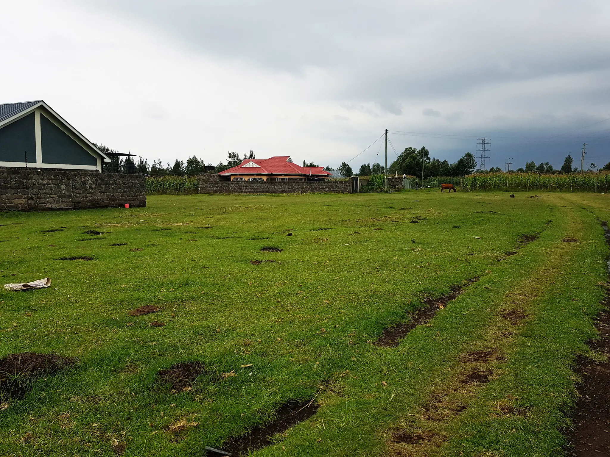 A Comprehensive Guide for Buying Land in Kenya
